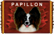 STRONA PAPILLON�W ZAPRASZA